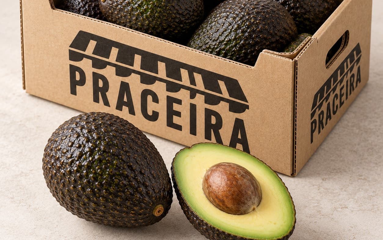 Aguacate Hass entero y una mitad con la pulpa verde y el hueso, ante una caja llena